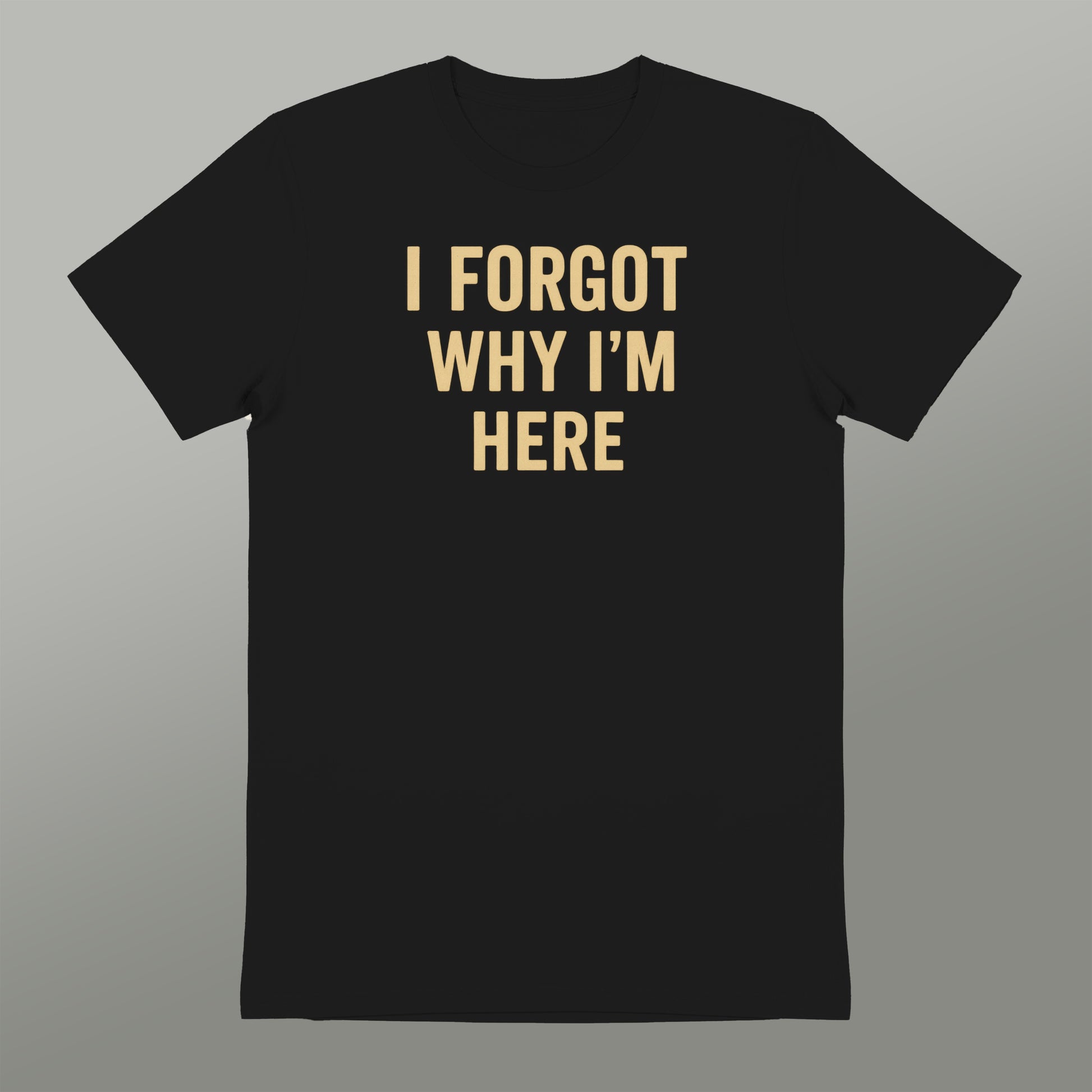 I Forgot Why I'm Here Funny Graphic T-shirt