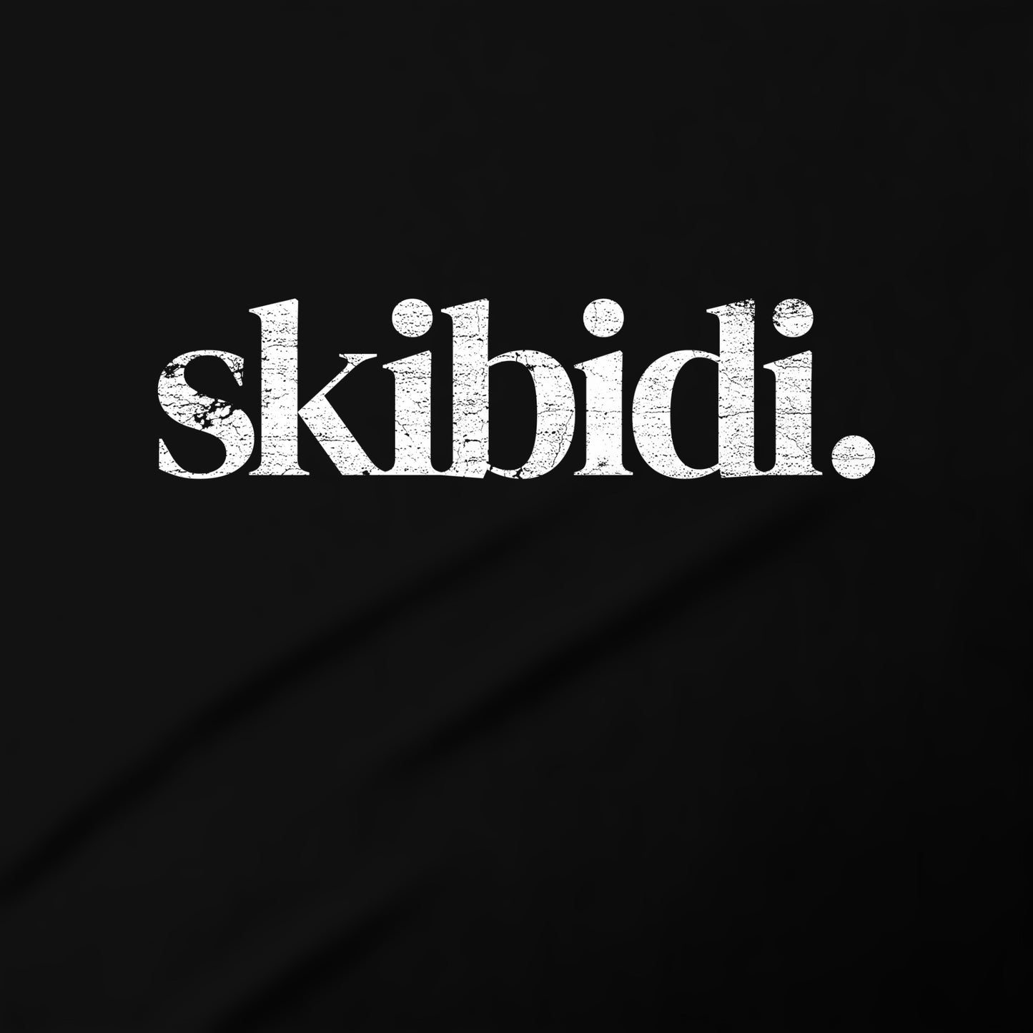 the word "skiibidi" written in a stylized font against a black background.