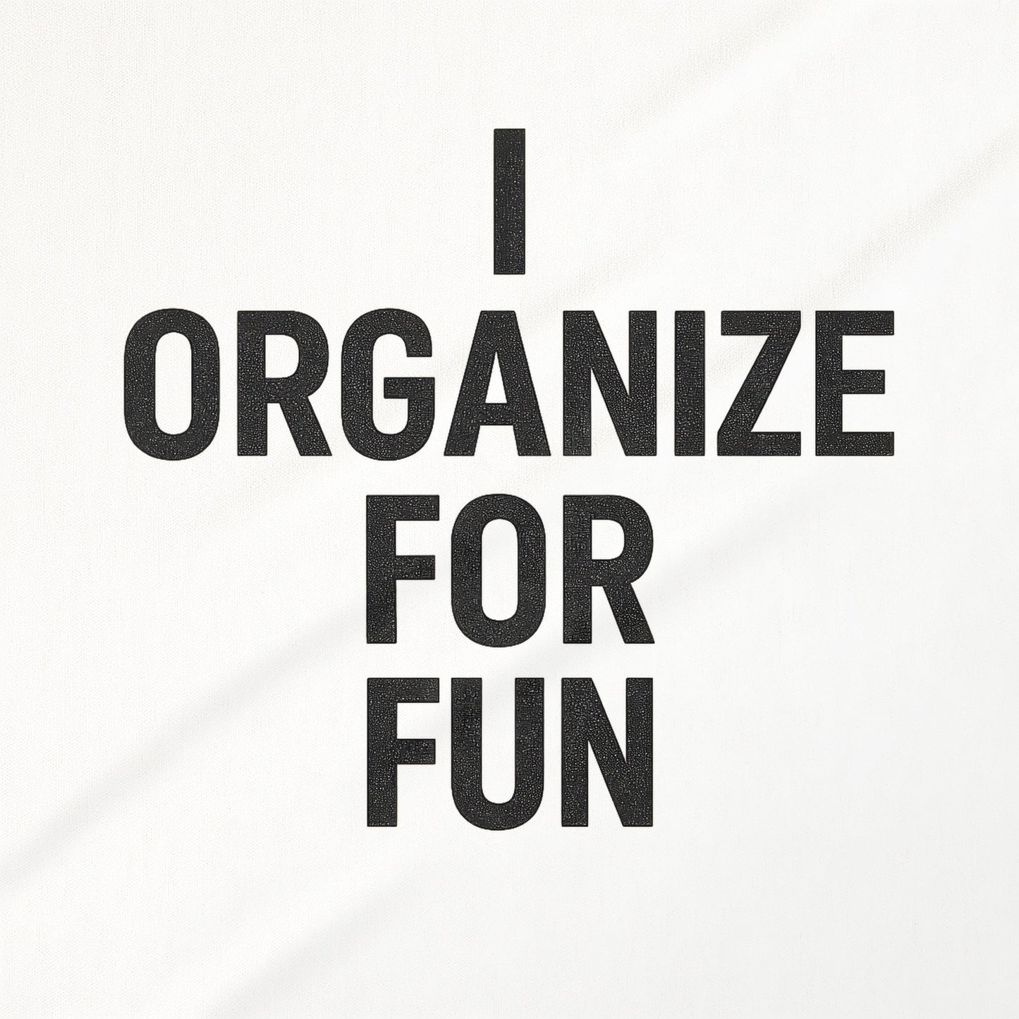 I Organize For Fun Typography Wall Art Decor