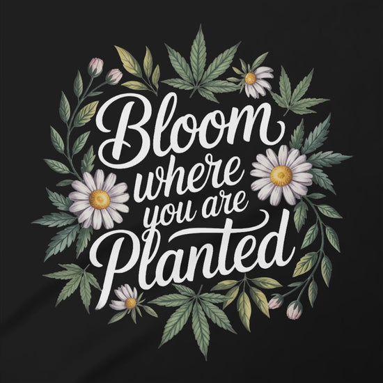 924b2a3d-08ad-4b1b-8b76-6fd5d004d78c